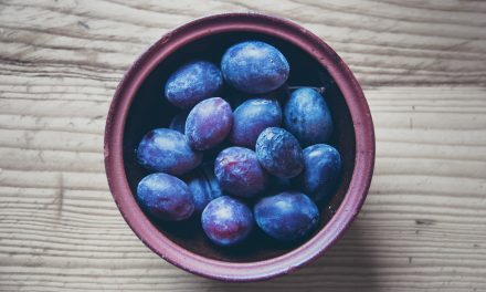 Comment faire germer un noyau de prune : que faut-il faire ?