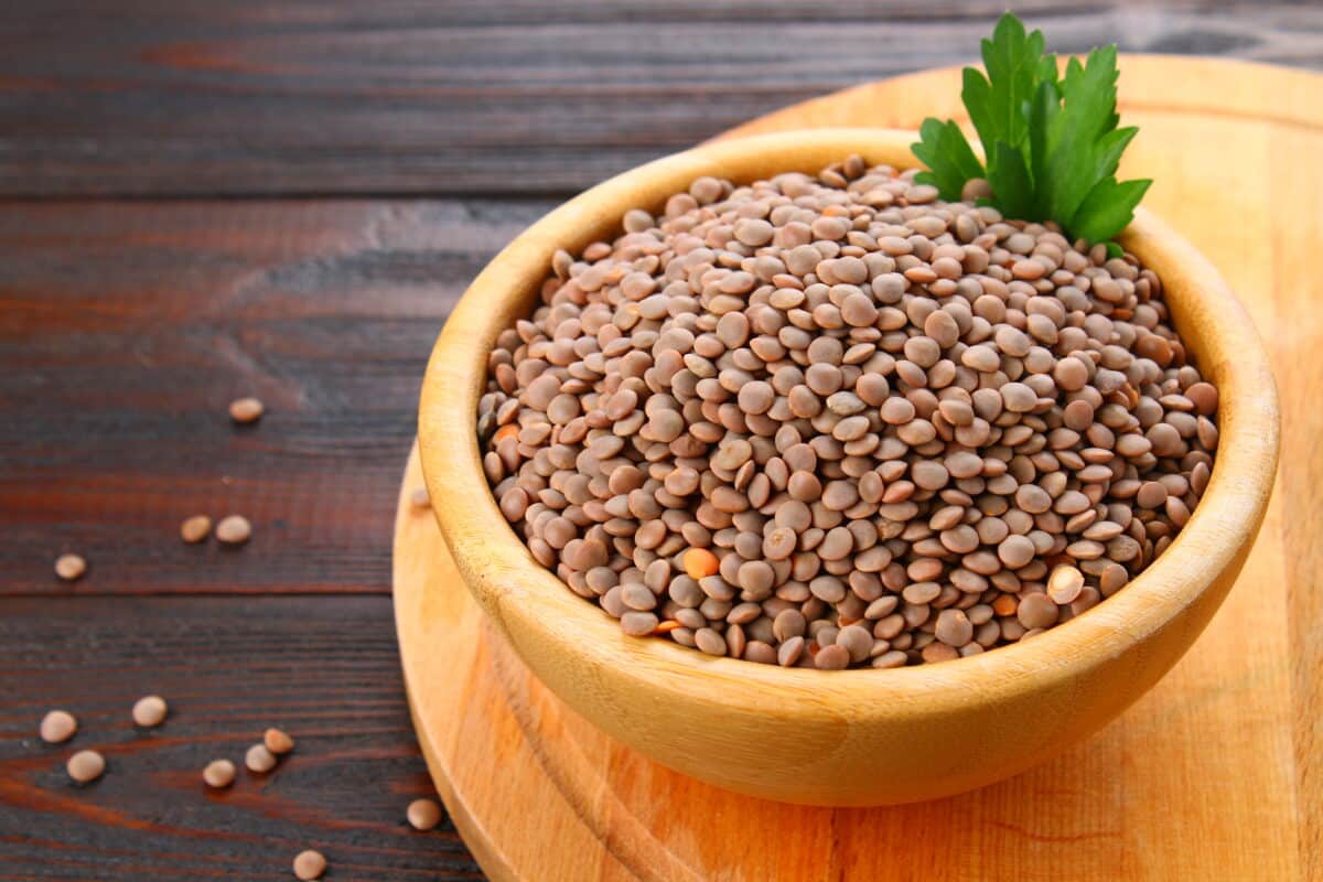 Comment faire germer des lentilles rapidement ?
