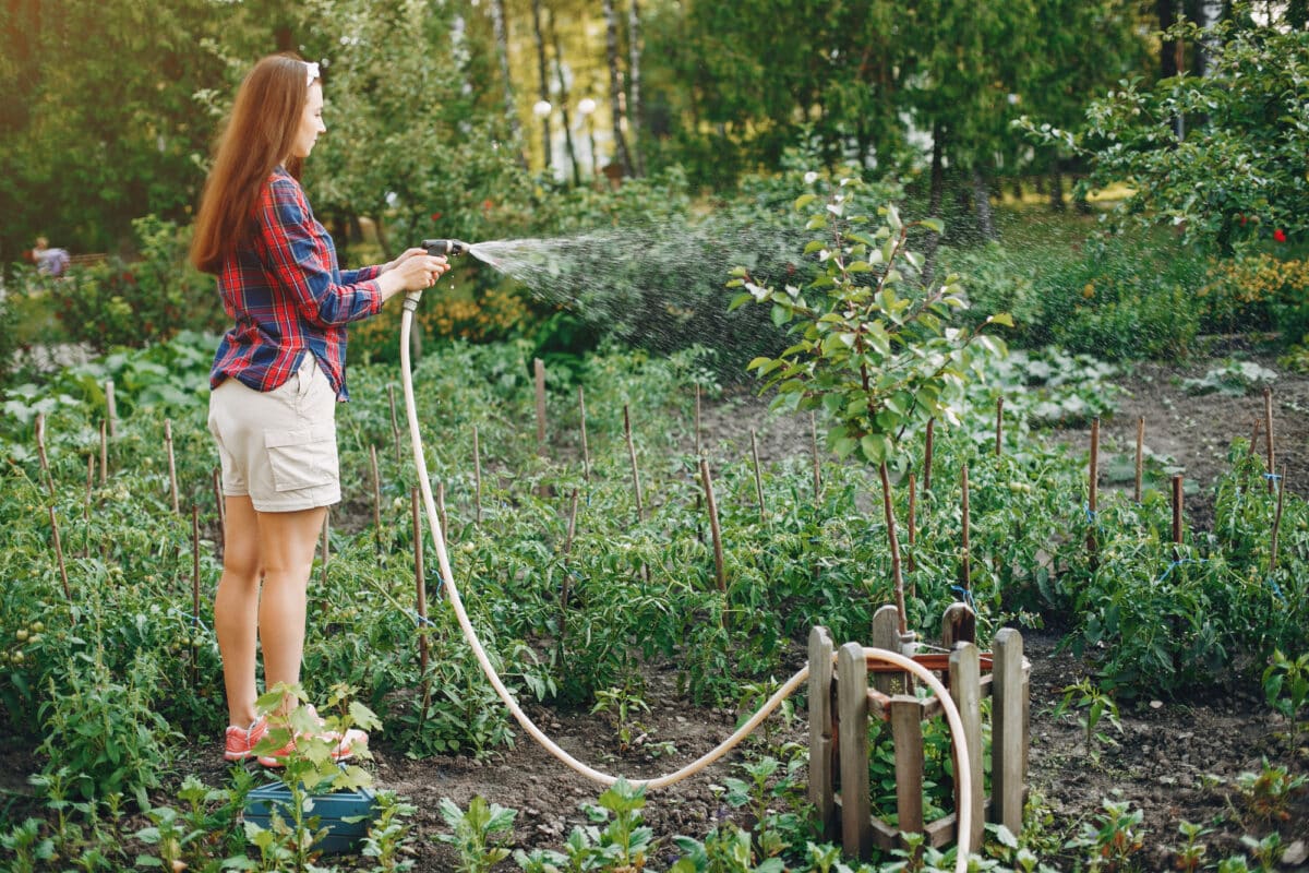 Quand le potager nous enseigne : il y a un temps pour semer, un temps pour arroser et un temps pour récolter