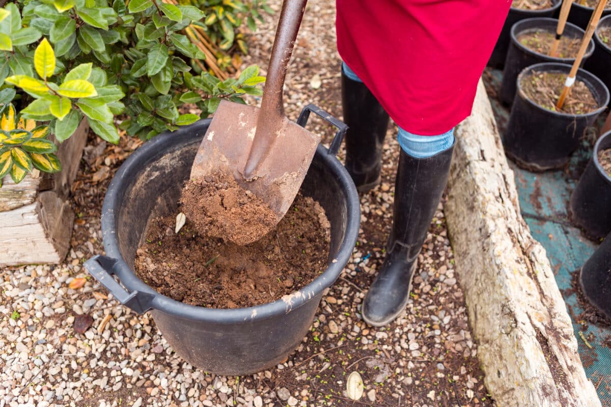 Le pralin, alliance de terre et d'eau : un berceau nourricier pour les jeunes plants