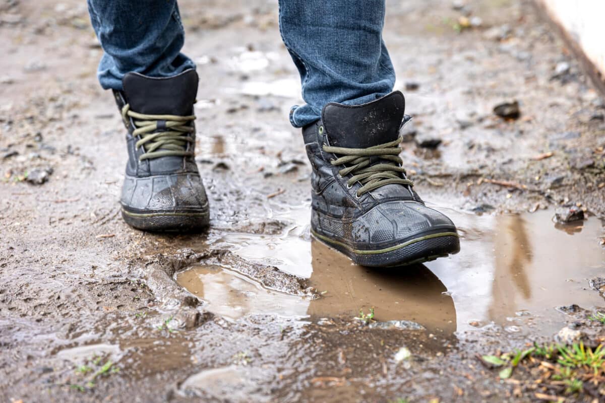 De l'air sous nos pieds : le maintien de la porosité du sol est vital pour l'hydratation et la respiration des racines