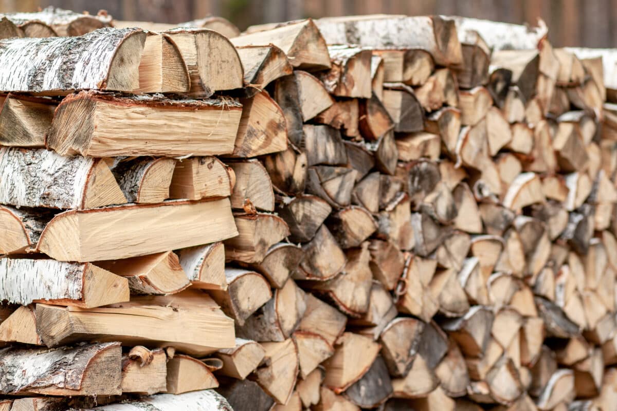 Bois de chauffage sans humidité : les clés de l’entreposage et de l’abri sur mesure