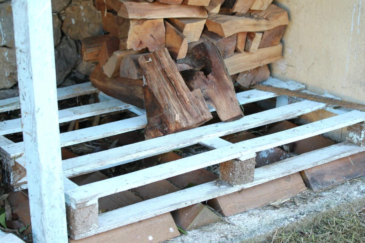 Pragmatisme et ingéniosité : ce tas de bois surélevé sur une palette, s'éloignant de l'humidité du sol pour un séchage parfait