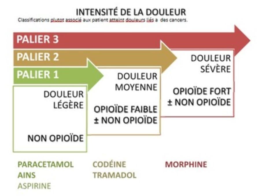 Le parcours du traitement de la douleur : illustration des paliers de l'OMS pour une prise en charge optimale
