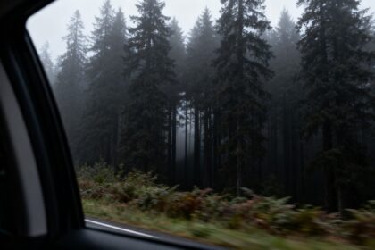 Forêt de conifères sombres aperçue depuis la vitre d'une voiture en mouvement, ombre indistincte entre les troncs